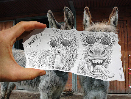 PHOTOGRAPHY BLOG - USA (1)