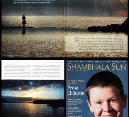 SHAMBALA SUN - Canada