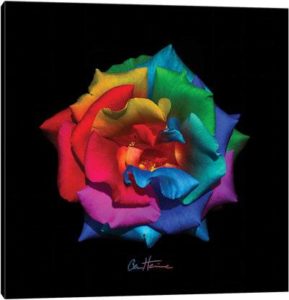 A Gift For My Muse - Canvas Print