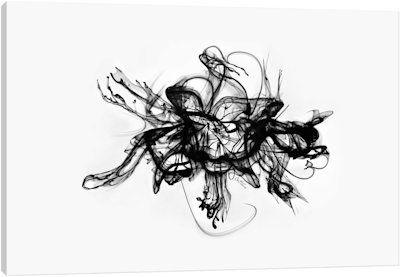 Alchemy - Canvas Print