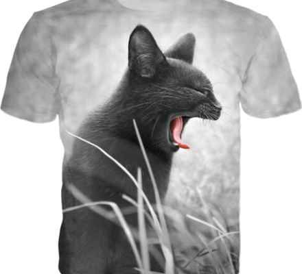 Amazing Shouting Cat T-shirt and Clothes (1)