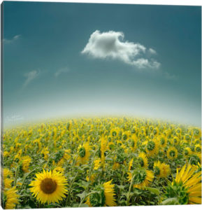 Be Unique - Canvas Print