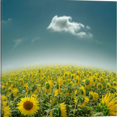 Be Unique - Canvas Print