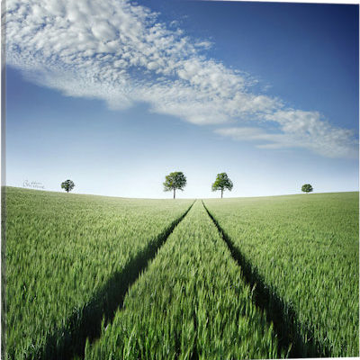 Believe In Your Destiny - Canvas Print