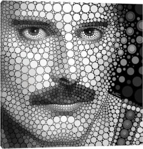 Freddie Mercury - Canvas Print