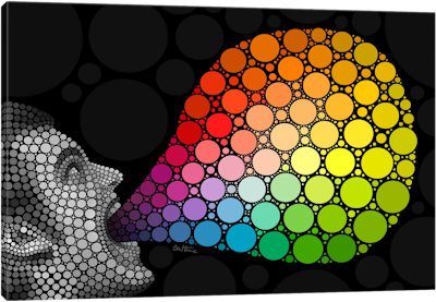 Give Me Colors - Canvas Print