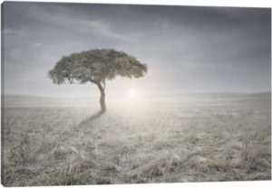 Hear The Birds Sing - Canvas Print