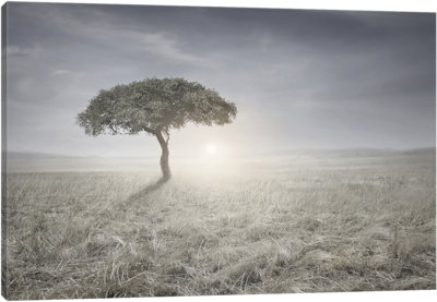 Hear The Birds Sing - Canvas Print