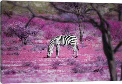 Kenya VII - Canvas Print