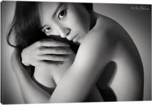 Light In Shadows - Canvas Print