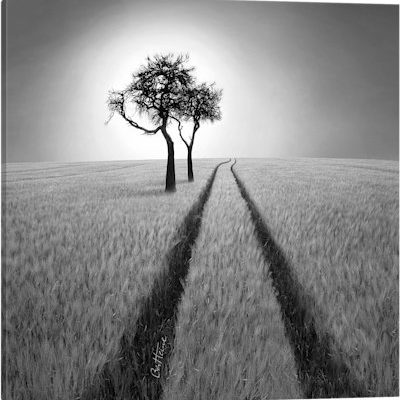 Listen To Wisdom - Canvas Print