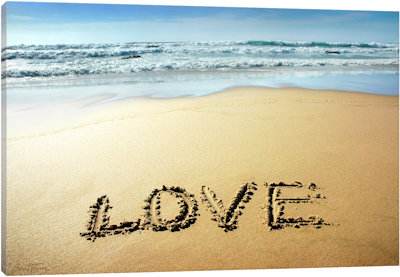 Love - Canvas Print
