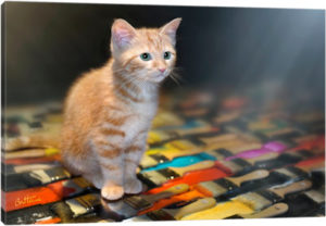 Walk With The Light - Canvas Print