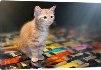 Walk With The Light - Canvas Print