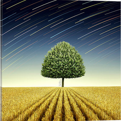 Newton's Apple Tree - Canvas Print