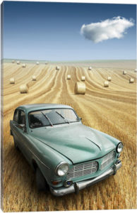 Nowhere to be Found - Canvas Print