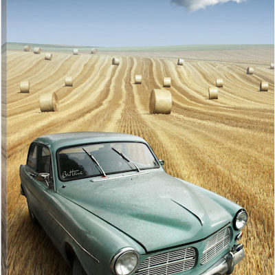 Nowhere to be Found - Canvas Print