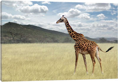 Once Upon A Time In Kenya #3 - Canvas Print