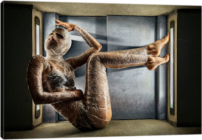 Panic - Canvas Print