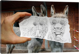 Pencil vs. Camera 12 - Funny Donkeys - Canvas Print