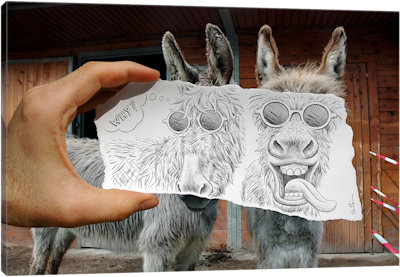 Pencil vs. Camera 12 - Funny Donkeys - Canvas Print