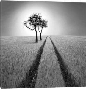 Pencil vs. Camera - 19 - Canvas Print