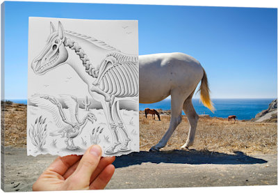 Pencil vs. Camera 40 - X Ray - Canvas Print