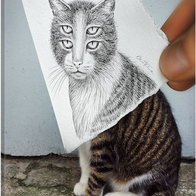 Pencil vs. Camera 70 - Forbidden Fruit - Canvas Print