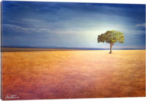 Spirit Of The Earth - Canvas Print