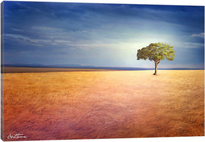 Spirit Of The Earth - Canvas Print