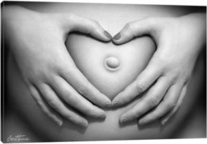 The Cycle of Life - Canvas Print