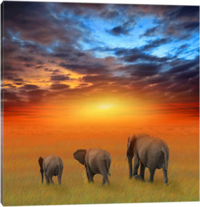 The Future Is Bright - Canvas Print