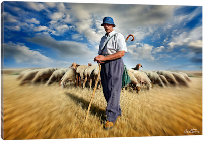 The Shepherd's Call - Canvas Print