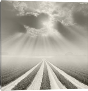 There Is A God Somewhere - Canvas Print