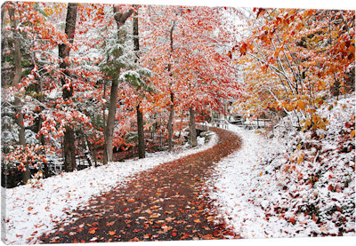 Two Seasons - Canvas Print