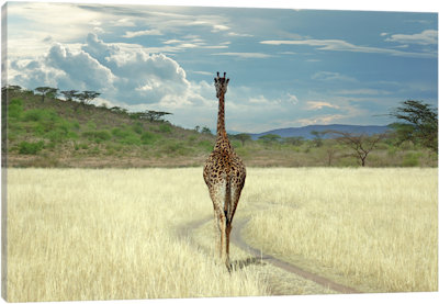 Until I get There - Canvas Print