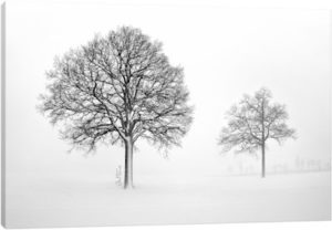 We Live And Die Together - Canvas Print