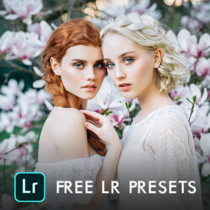Free Products - LR Presets