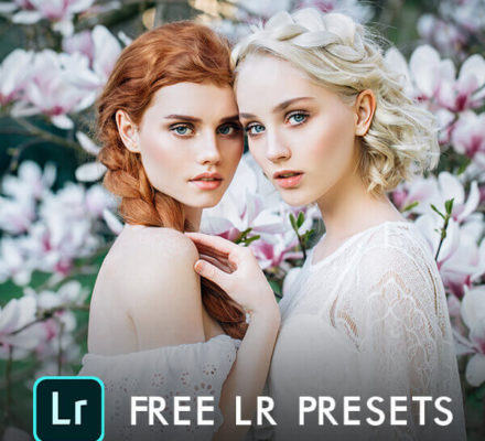 Free Products - LR Presets