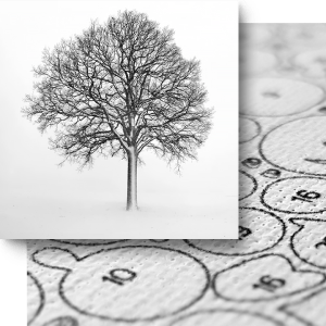 7 Paint by Numbers - Ben Heine Art - Craft Ease - Peinture a Chiffres