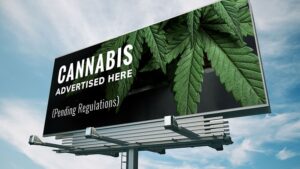 Cannabis Brand Marketing: Tips to Increase Your Online Visibility