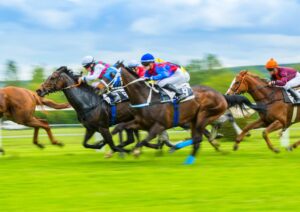 Best Horse Racing Photographers In The World