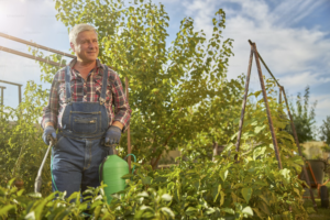 Monsanto to Pay $1.5 Billion for Roundup Lawsuit: Side Effects of this Weedkiller