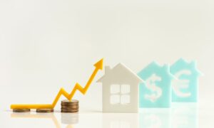 Transformer des Objets de Collection Numériques en Profits Réels