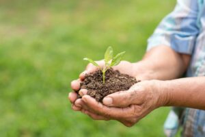 Amino Acids, Fulvic Acid, and Humic Acid: Essential Components for Soil and Plant Health